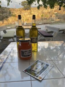 Two glass bottles of olive oil and a jar of jam on a tiled outdoor table, with a rocky yard in the background and string lights above.