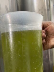 Close-up of a metal measuring cup with green liquid, held by a hand, against a stainless-steel background; the cup shows measurement markings and liquid levels.