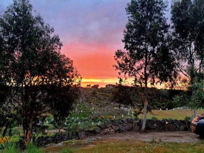 paysage de camping - 5